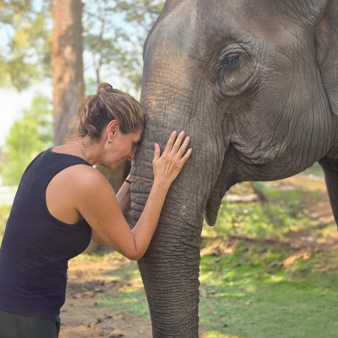 Diana en un momento de conexión con un elefante en Luang Prabang, Laos