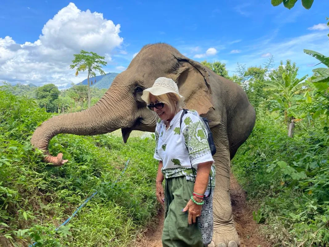 encuentro con elefantes en Laos