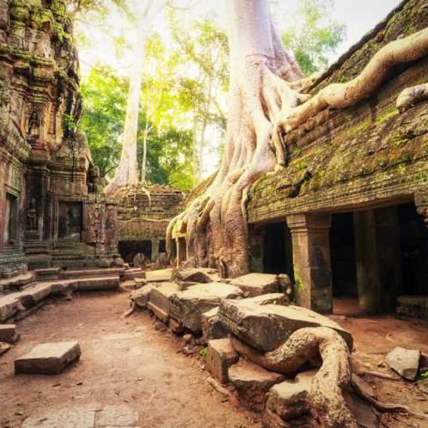 Templo de Ta Prohm cubierto por raíces gigantes de árboles.