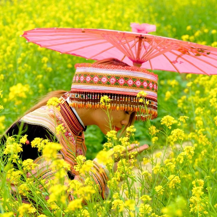 Mujer en Sapa con vestimenta tradicional entre flores de margaritas