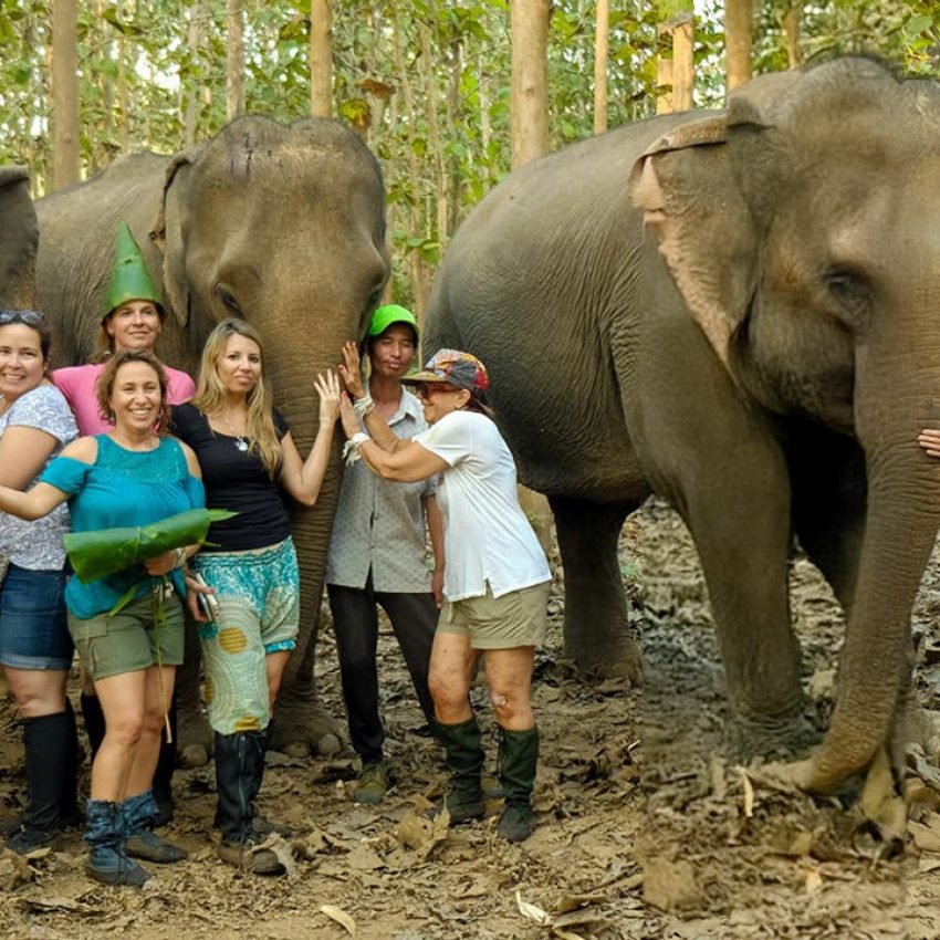 Experiencia de Encuentro con Elefantes en Laos durante el viaje grupal de ShantiTur Ruta Naranja
